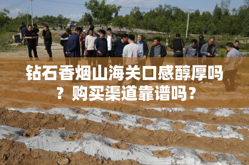 钻石香烟山海关口感醇厚吗？购买渠道靠谱吗？
